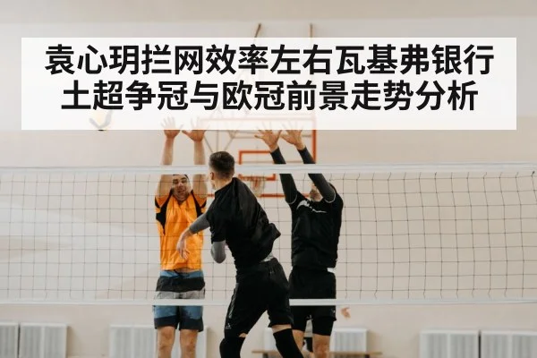 volleyball block（BSPORTS）