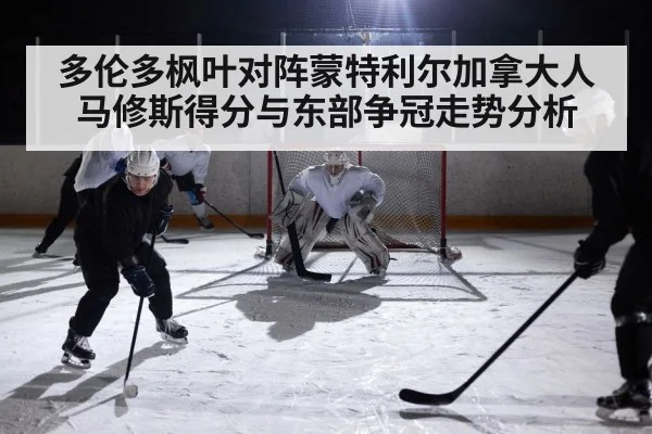 ice hockey game action(BSPORTS)